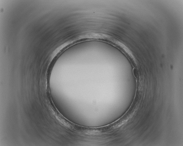 X0000080670837200612301358