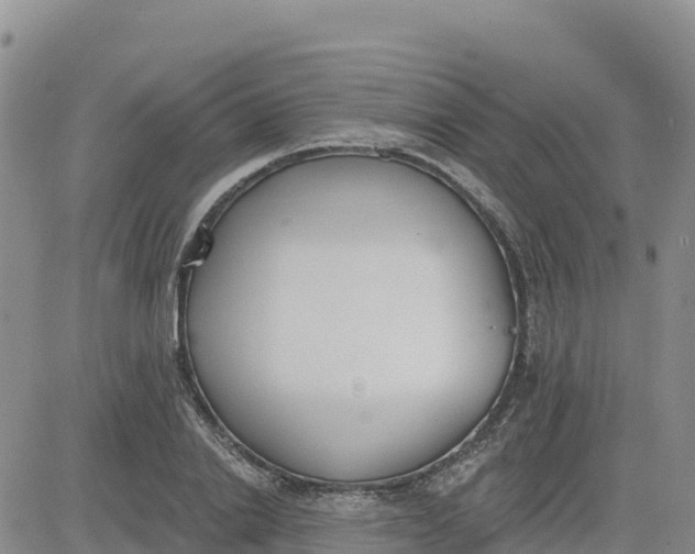 X0000080670838200612301358