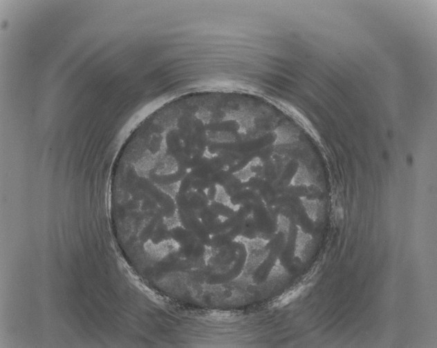 X0000080670839200612301358