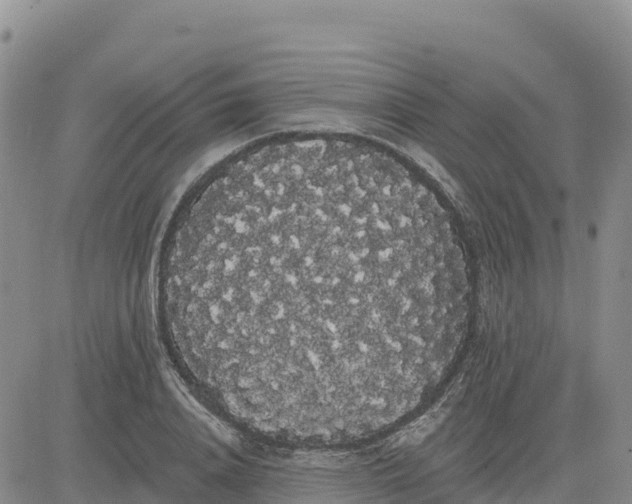 X0000080670840200612301358