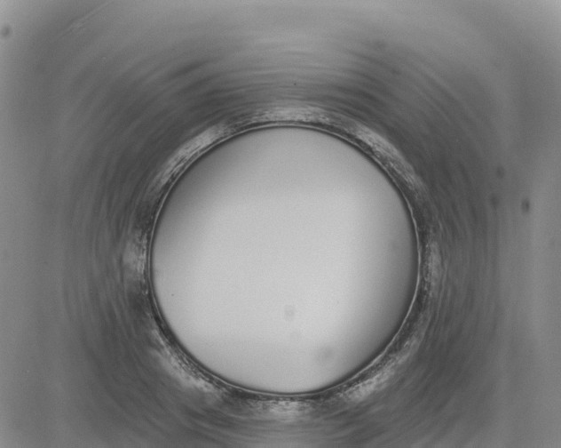 X0000080670841200612301358