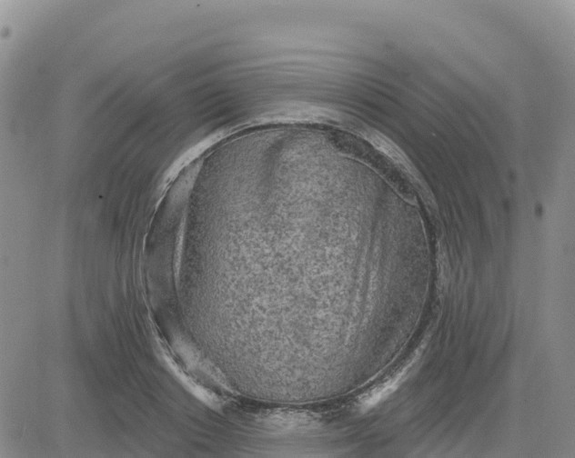 X0000080670842200612301358