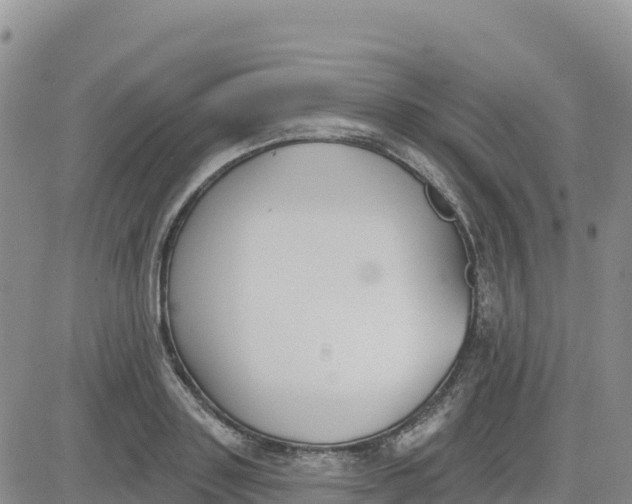 X0000080670843200612301358