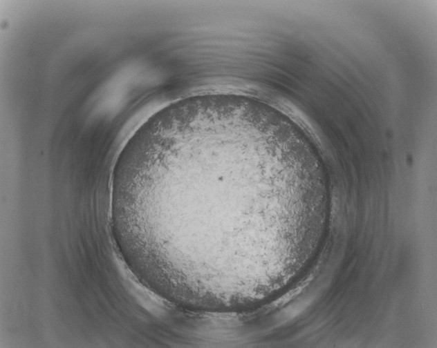 X0000080670844200612301358