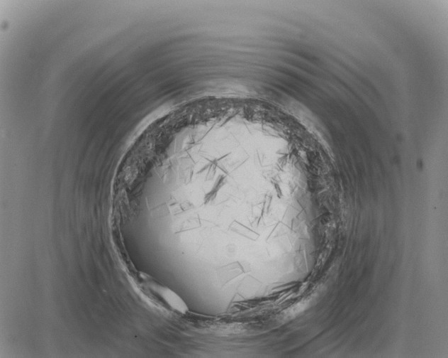 X0000080670845200612301358