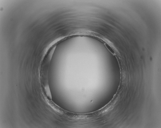 X0000080670846200612301358