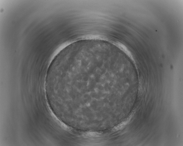 X0000080670847200612301358