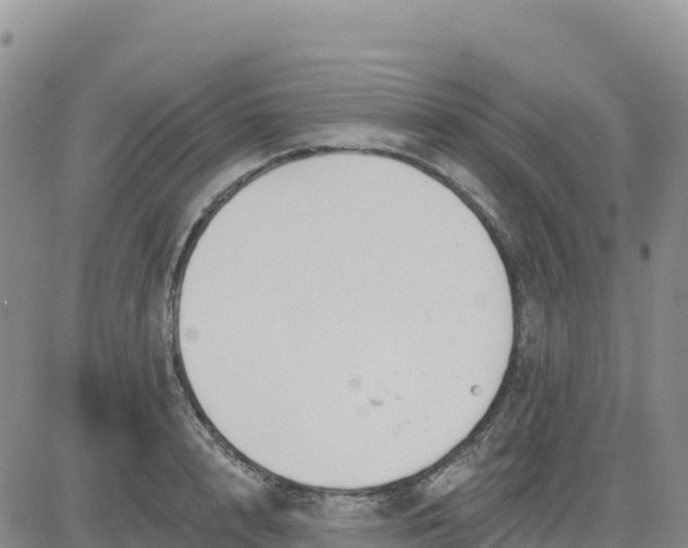 X0000080670848200612301358