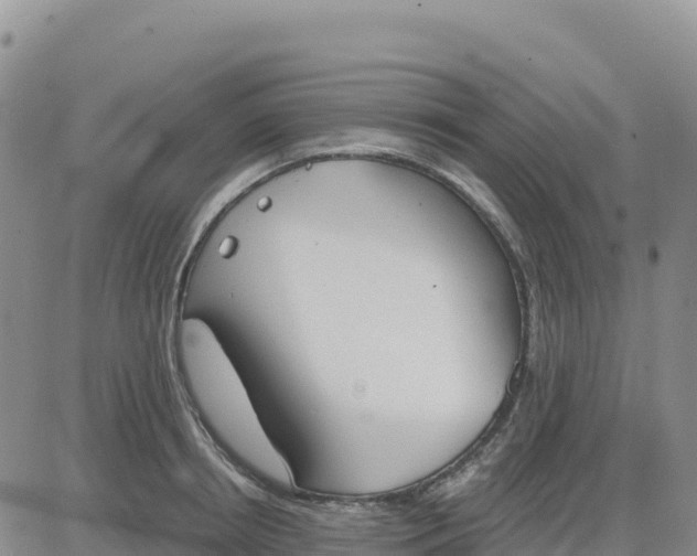 X0000080670850200612301358