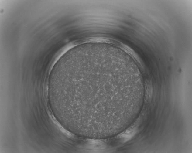 X0000080670852200612301358