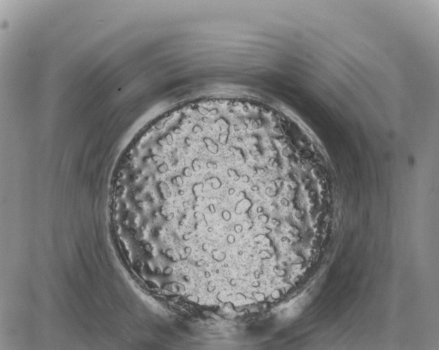 X0000080670853200612301358