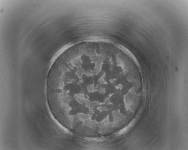 X0000080670855200612301358