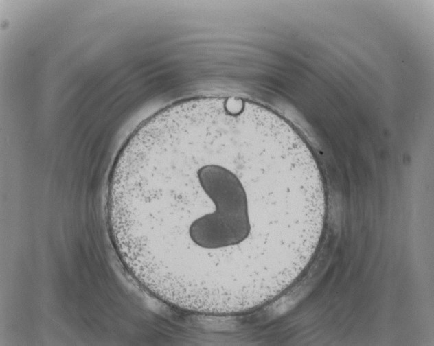 X0000080670856200612301358