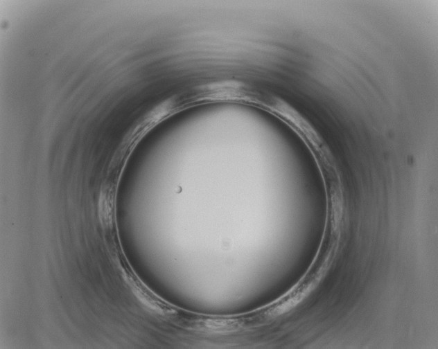 X0000080670857200612301358