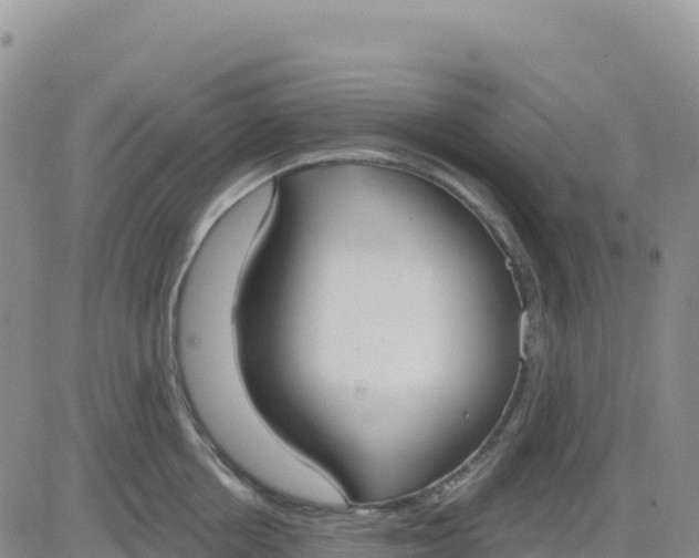 X0000080670858200612301358