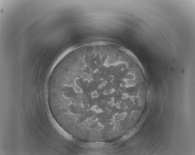 X0000080670859200612301358