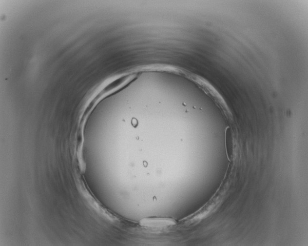 X0000080670860200612301358