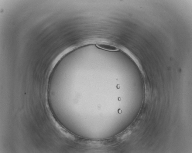 X0000080670861200612301358