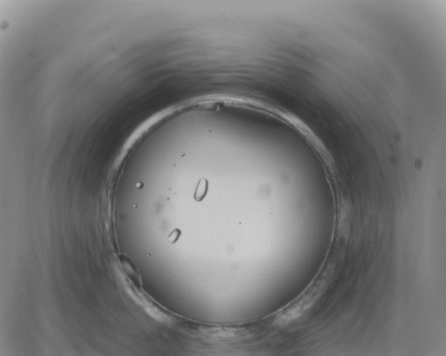 X0000080670862200612301358