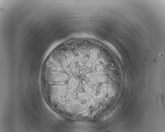 X0000080670863200612301358