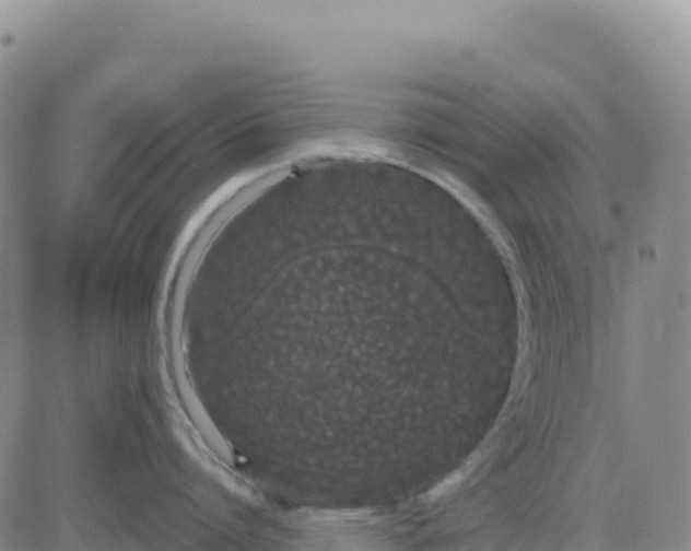 X0000080670864200612301358