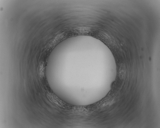 X0000080670866200612301357