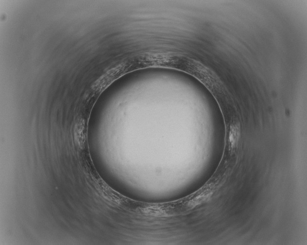 X0000080670867200612301357