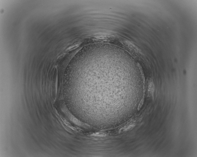 X0000080670868200612301357