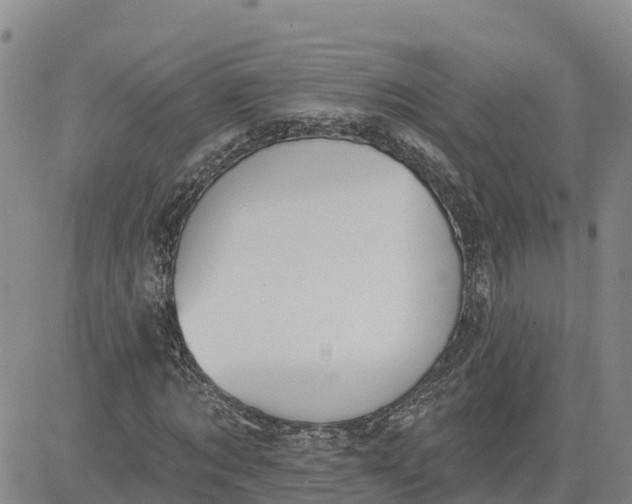 X0000080670869200612301357