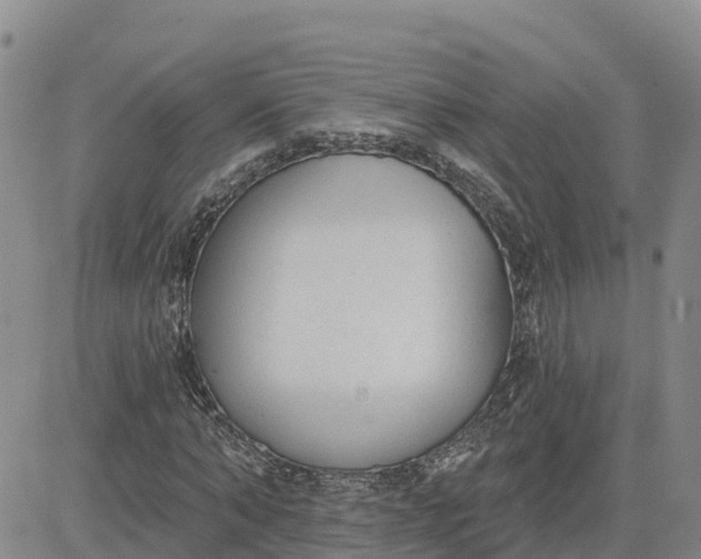 X0000080670870200612301357