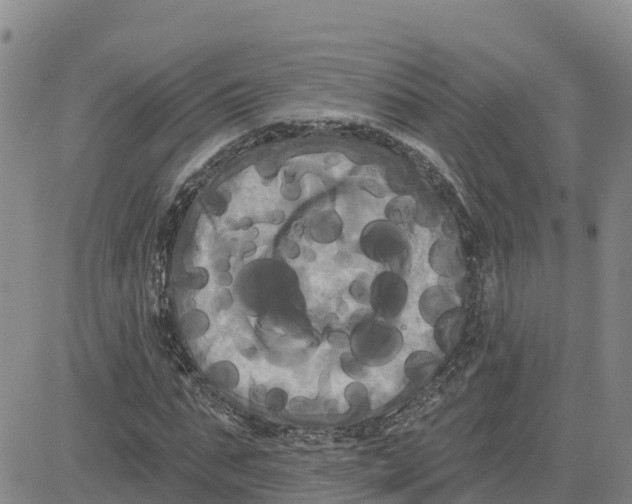 X0000080670871200612301357