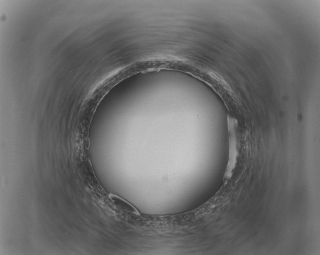 X0000080670872200612301357