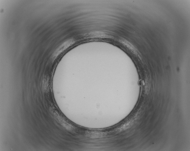 X0000080670873200612301357