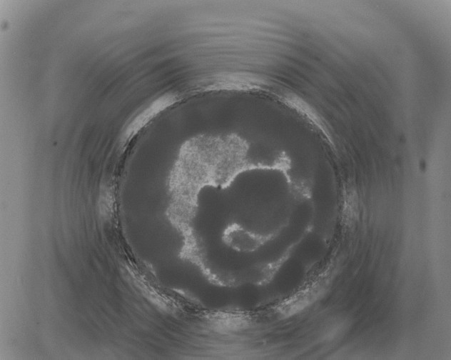 X0000080670874200612301357