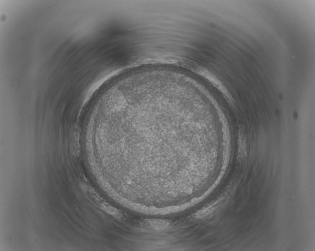 X0000080670878200612301357