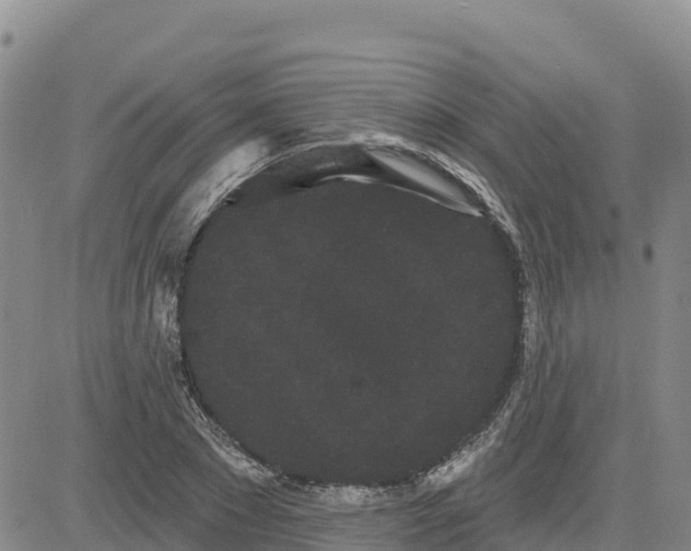 X0000080670881200612301357