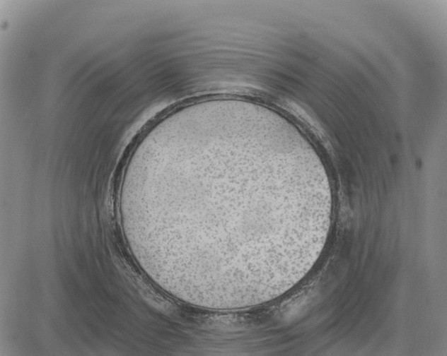 X0000080670883200612301357