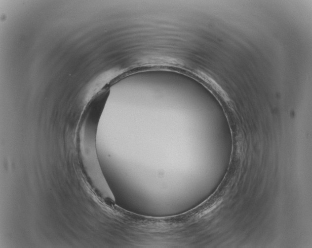 X0000080670885200612301357