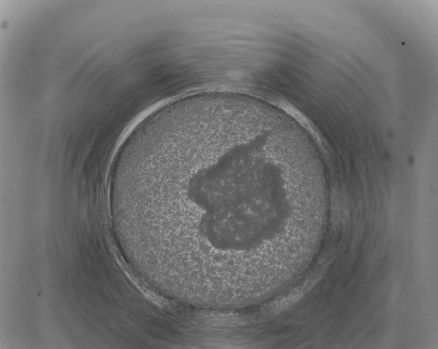 X0000080670886200612301357