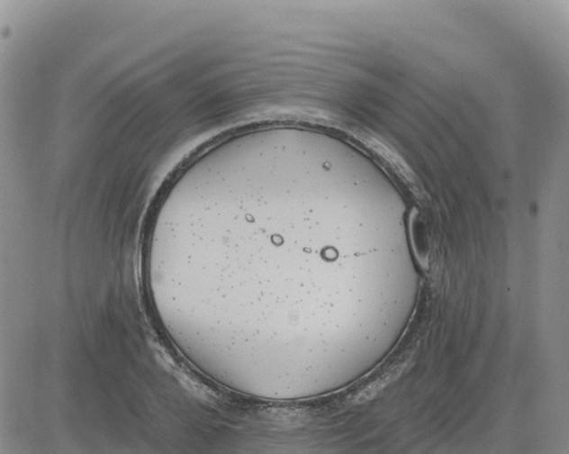 X0000080670888200612301357