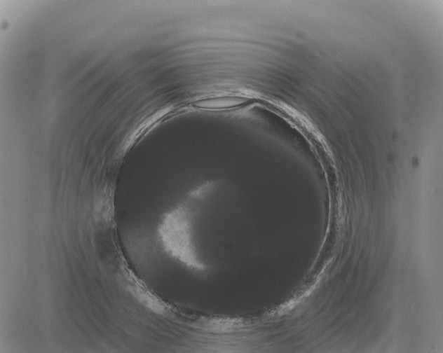 X0000080670889200612301357