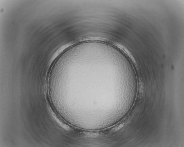 X0000080670890200612301357