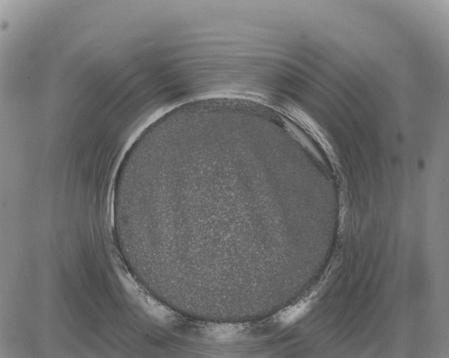 X0000080670892200612301357