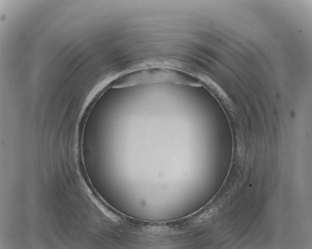 X0000080670894200612301357