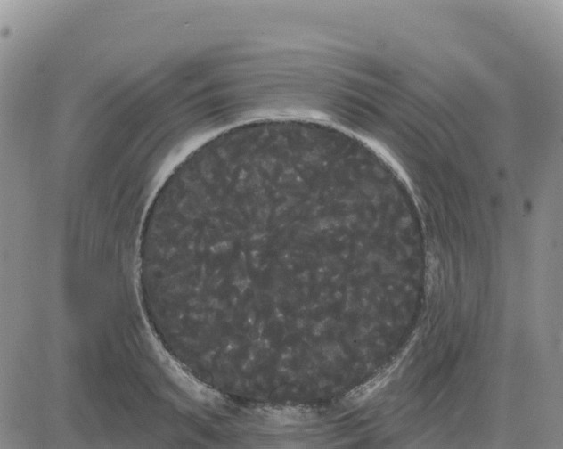 X0000080670895200612301357