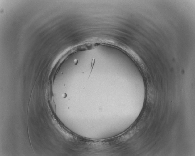 X0000080670896200612301357