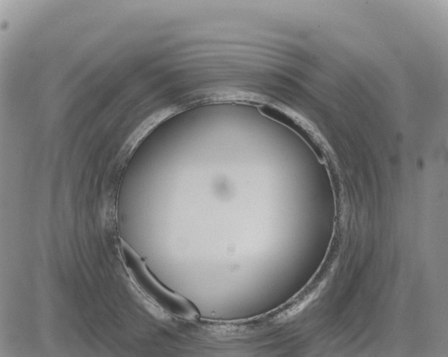 X0000080670897200612301357