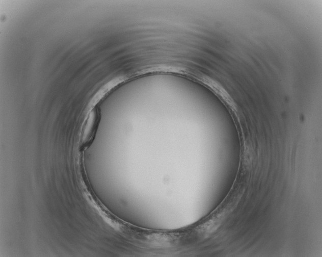 X0000080670898200612301357