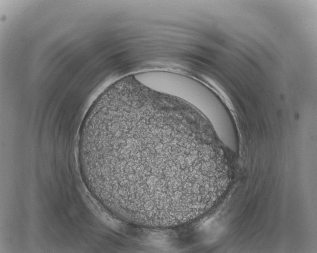 X0000080670899200612301357