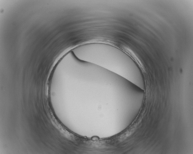 X0000080670900200612301357